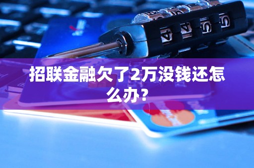 招联金融欠了2万没钱还怎么办？