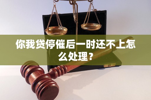 你我贷停催后一时还不上怎么处理？