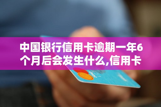 中国银行信用卡逾期一年6个月后会发生什么,信用卡逾期处理方式及后果 中国银行信用卡逾期一年6个月后会发生什么,信用卡逾期处理方式及后果