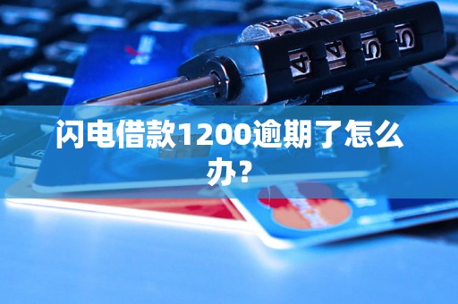 闪电借款1200逾期了怎么办？