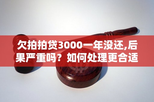 欠拍拍贷3000一年没还,后果严重吗？如何处理更合适？