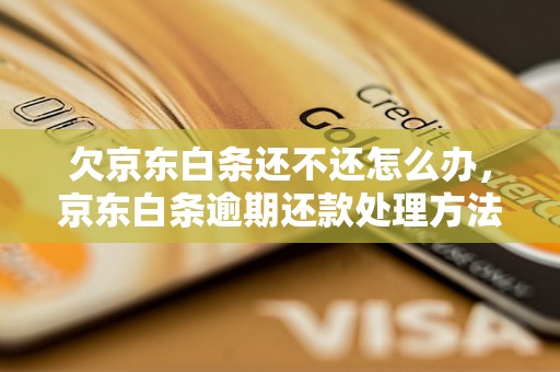 欠京东白条还不还怎么办,京东白条逾期还款处理方法 欠京东白条还不还怎么办,京东白条逾期还款处理方法