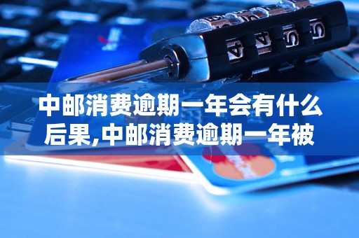 中邮消费逾期一年会有什么后果中邮消费逾期一年被起诉怎么办