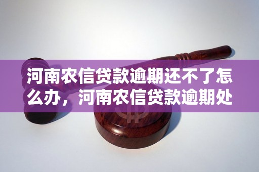 河南农信贷款逾期还不了怎么办，河南农信贷款逾期处理流程详解