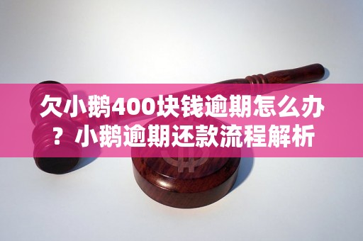 欠小鹅400块钱逾期怎么办？小鹅逾期还款流程解析