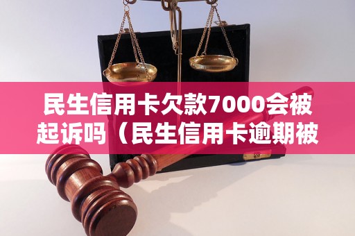 民生信用卡欠款7000会被起诉吗（民生信用卡逾期被告上法庭真实案例）