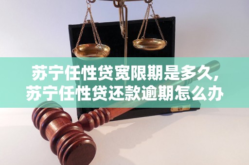 苏宁任性贷宽限期是多久,苏宁任性贷还款逾期怎么办