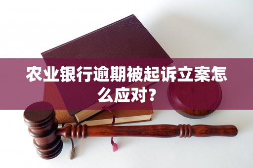 农业银行逾期被起诉立案怎么应对？