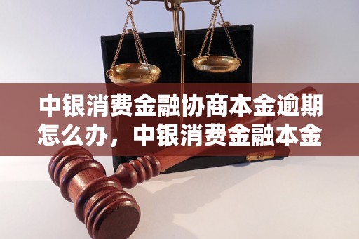 中银消费金融协商本金逾期怎么办，中银消费金融本金协商逾期处理方案