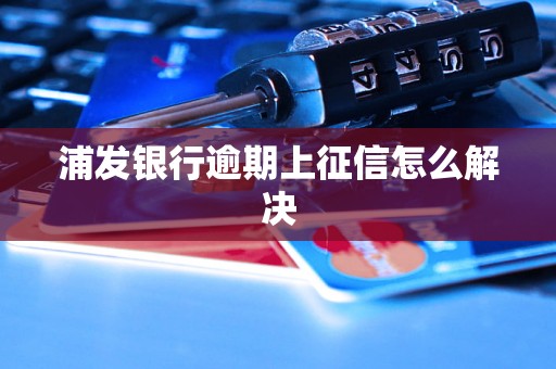 浦发银行逾期上征信怎么解决