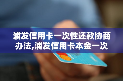 浦发信用卡一次性还款协商办法,浦发信用卡本金一次性还清流程