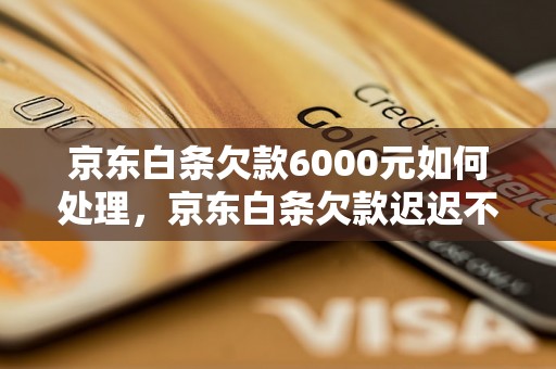 京东白条欠款6000元如何处理，京东白条欠款迟迟不还怎么办