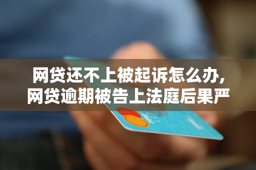网贷还不上被起诉怎么办,网贷逾期被告上法庭后果严重