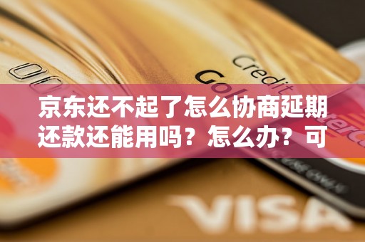 京东还不起了怎么协商延期还款还能用吗？怎么办？可以协商还本金吗？