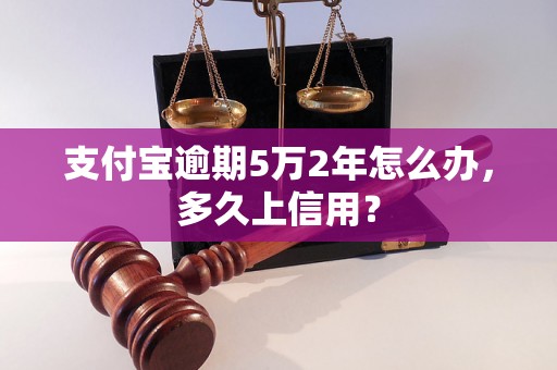 支付宝逾期5万2年怎么办，多久上信用？