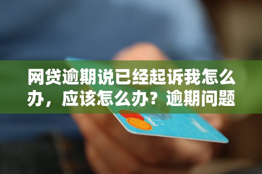 网贷逾期说已经起诉我怎么办，应该怎么办？逾期问题解决办法