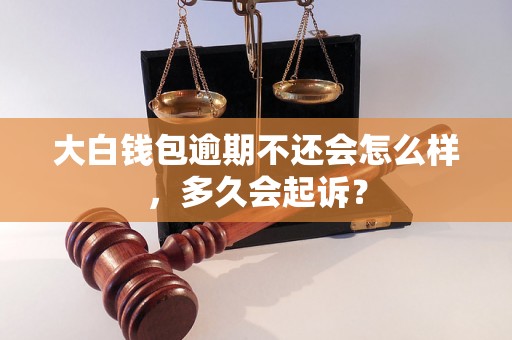 大白钱包逾期不还会怎么样，多久会起诉？