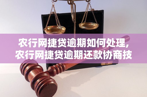 农行网捷贷逾期如何处理,农行网捷贷逾期还款协商技巧