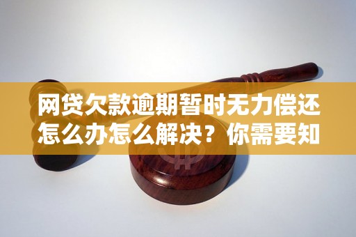 网贷欠款逾期暂时无力偿还怎么办怎么解决？你需要知道的全部解决方法