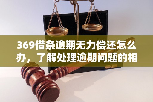 369借条逾期无力偿还怎么办，了解处理逾期问题的相关流程和方法