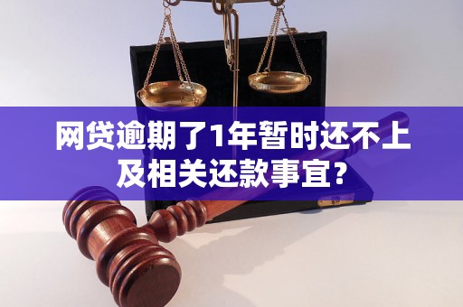 网贷逾期了1年暂时还不上及相关还款事宜？