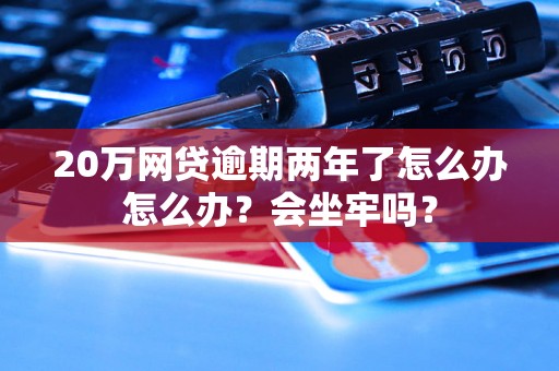 20万网贷逾期两年了怎么办怎么办？会坐牢吗？