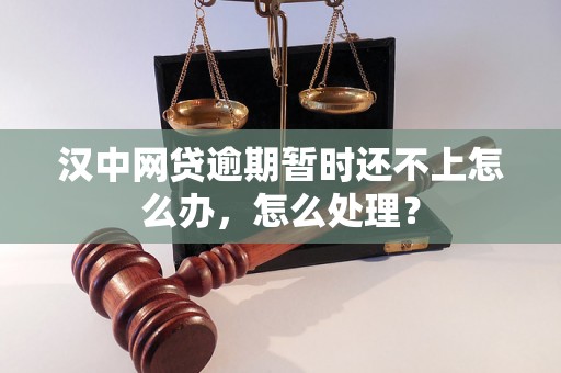 汉中网贷逾期暂时还不上怎么办，怎么处理？