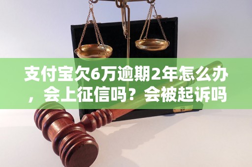 支付宝欠6万逾期2年怎么办，会上征信吗？会被起诉吗？