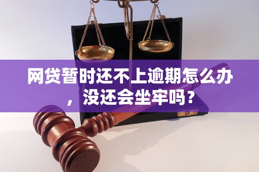 网贷暂时还不上逾期怎么办，没还会坐牢吗？