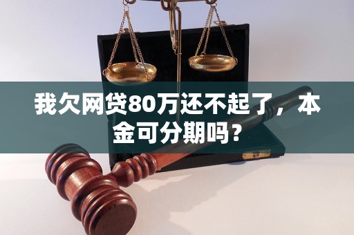 我欠网贷80万还不起了，本金可分期吗？