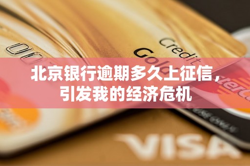 北京银行逾期多久上征信，引发我的经济危机