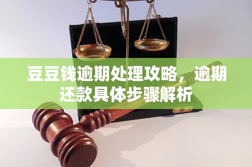 豆豆钱逾期处理攻略，逾期还款具体步骤解析