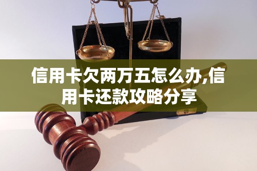 信用卡欠两万五怎么办,信用卡还款攻略分享