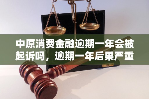 中原消费金融逾期一年会被起诉吗，逾期一年后果严重吗