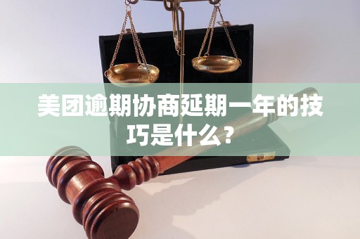 美团逾期协商延期一年的技巧是什么？