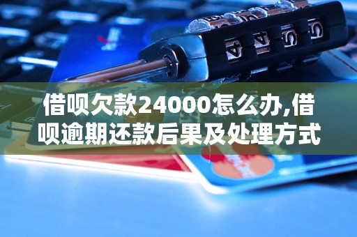 借呗欠款24000怎么办,借呗逾期还款后果及处理方式