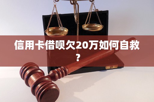 信用卡借呗欠20万如何自救？