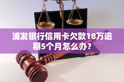 浦发银行信用卡欠款18万逾期5个月怎么办？