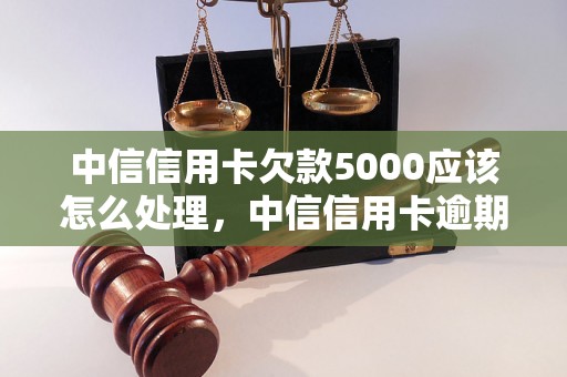 中信信用卡欠款5000应该怎么处理，中信信用卡逾期欠款处理流程