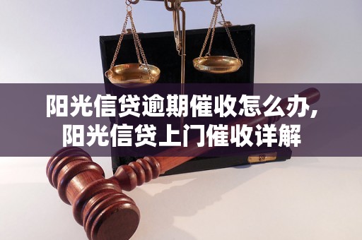 阳光信贷逾期催收怎么办,阳光信贷上门催收详解