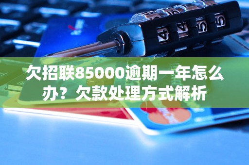 欠招联85000逾期一年怎么办？欠款处理方式解析