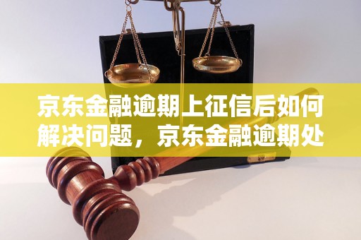 京东金融逾期上征信后如何解决问题，京东金融逾期处理建议