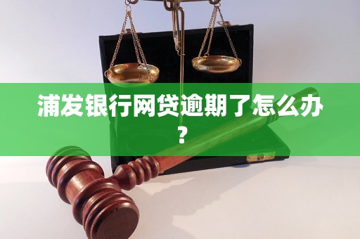 浦发银行网贷逾期了怎么办？