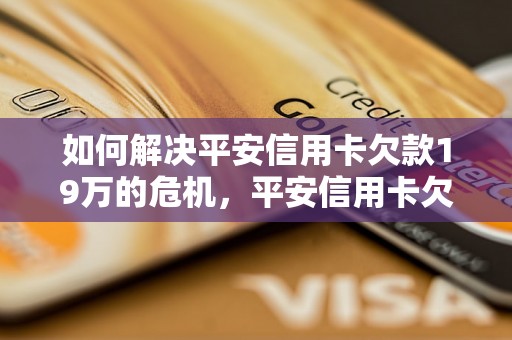 如何解决平安信用卡欠款19万的危机，平安信用卡欠款19万的还款计划