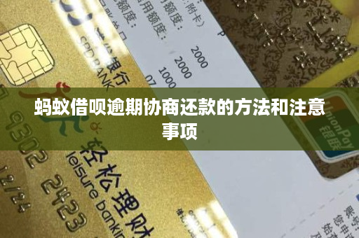 没有借支付宝的钱_借支付宝没有利息吗_支付宝借吧怎么没有了