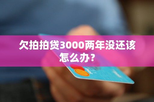 欠拍拍贷3000两年没还该怎么办？