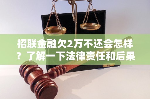 招联金融欠2万不还会怎样？了解一下法律责任和后果