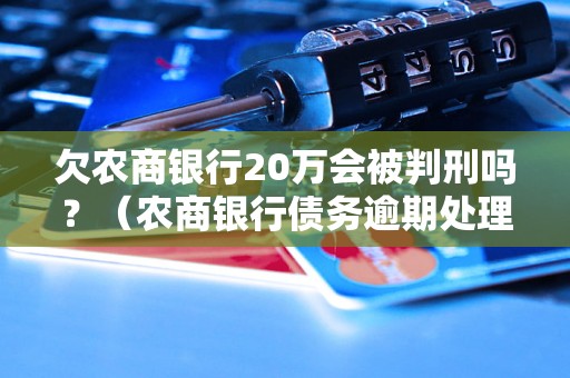 欠农商银行20万会被判刑吗？（农商银行债务逾期处理方式）