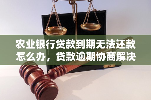 农业银行贷款到期无法还款怎么办，贷款逾期协商解决方案