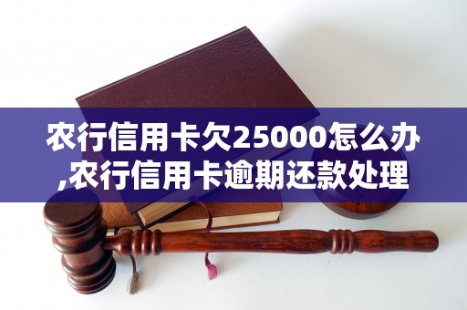 农行信用卡欠25000怎么办,农行信用卡逾期还款处理攻略